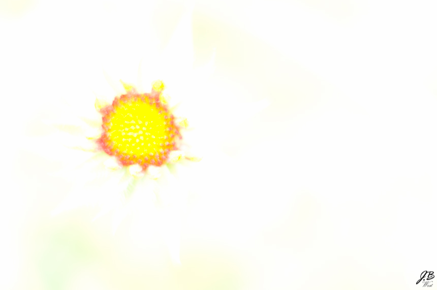 90550