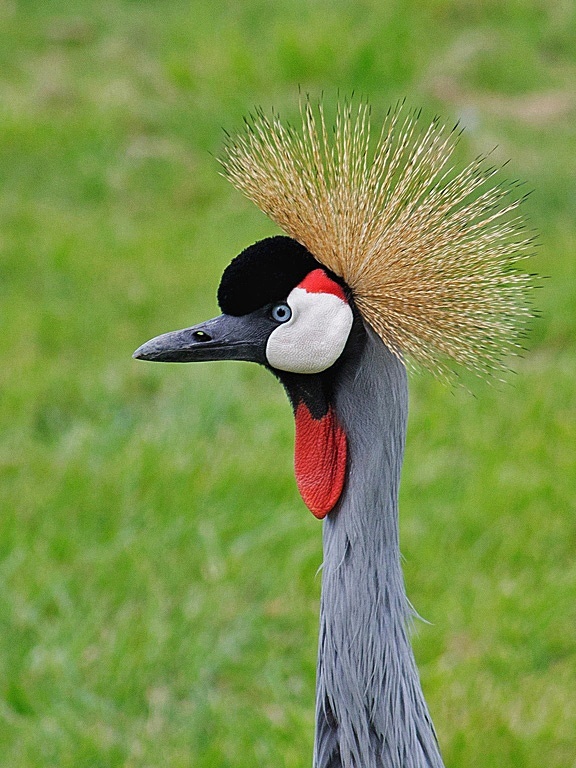 92665