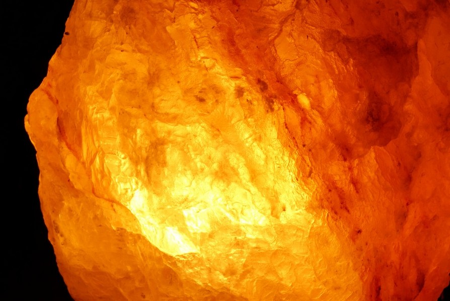 9299