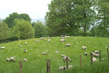 Filename=0013.jpg
Filesize=774KiB
Dimensions=1000x667
Date added=May 13, 2010 0013.jpg