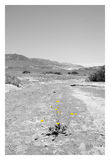 Filename=0022.jpg
Filesize=169KiB
Dimensions=550x800
Date added=May 21, 2010 0022.jpg