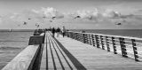 Filename=0022.jpg
Filesize=450KiB
Dimensions=1280x637
Date added=Nov 26, 2017 0022.jpg