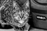 Filename=0008.jpg
Filesize=137KiB
Dimensions=1024x682
Date added=Mar 31, 2025 0008.jpg