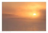 getwebimage.php?pid=102731&url=https%3A%2F%2Fi37.servimg.com%2Fu%2Ff37%2F11%2F09%2F13%2F63%2Fdscf9915.jpg