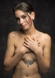 getwebimage.php?pid=103358&url=https%3A%2F%2Fc1.staticflickr.com%2F1%2F368%2F32577189125_66dff7ce79_c.jpg
