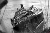 getwebimage.php?pid=103480&url=https%3A%2F%2Fc1.staticflickr.com%2F3%2F2181%2F32712353122_77d971ee7d_b.jpg