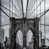 getwebimage.php?pid=104217&url=https%3A%2F%2Fc1.staticflickr.com%2F5%2F4222%2F34165128473_a02e4c1a71_b.jpg