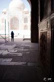 getwebimage.php?pid=104727&url=https%3A%2F%2Ffarm6.staticflickr.com%2F5496%2F30111926753_99930d4b8a_c.jpg