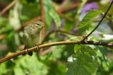 getwebimage.php?pid=104799&url=https%3A%2F%2Ffarm5.staticflickr.com%2F4397%2F36412340825_ac4e16aff2_b.jpg