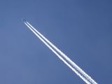 getwebimage.php?pid=105444&url=https%3A%2F%2Ffarm5.staticflickr.com%2F4600%2F39264200241_112f07e7f6_b.jpg