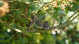 getwebimage.php?pid=106179&url=https%3A%2F%2Ffarm1.staticflickr.com%2F965%2F42214306832_eb773e6799_b.jpg