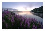 getwebimage.php?pid=106656&url=https%3A%2F%2Fi15.servimg.com%2Fu%2Ff15%2F11%2F09%2F13%2F63%2Fdscf7712.jpg