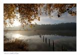 getwebimage.php?pid=107417&url=https%3A%2F%2Fi90.servimg.com%2Fu%2Ff90%2F17%2F11%2F60%2F26%2Fdscf8512.jpg