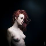 getwebimage.php?pid=108296&url=https%3A%2F%2Flive.staticflickr.com%2F65535%2F47714368182_91b5e8e7b6_c.jpg