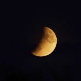 getwebimage.php?pid=108636&url=https%3A%2F%2Flive.staticflickr.com%2F65535%2F48302071762_b7508640d5_b.jpg