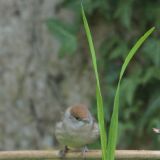 getwebimage.php?pid=110046&url=https%3A%2F%2Fi.postimg.cc%2FNj0nfmhf%2F20200330-004017.jpg