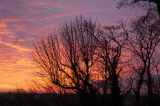 getwebimage.php?pid=110952&url=https%3A%2F%2Fi21.servimg.com%2Fu%2Ff21%2F16%2F55%2F06%2F29%2Fdsc01411.jpg