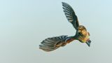getwebimage.php?pid=111823&url=https%3A%2F%2Flive.staticflickr.com%2F65535%2F51691952151_1b51ee6288_b.jpg