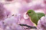 getwebimage.php?pid=112150&url=https%3A%2F%2Flive.staticflickr.com%2F65535%2F51957023142_9b033e321d_c.jpg