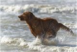 getwebimage.php?pid=112751&url=https%3A%2F%2Flive.staticflickr.com%2F65535%2F52775975673_76339a5cd9_b.jpg