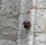 getwebimage.php?pid=113149&url=https%3A%2F%2Fi.postimg.cc%2FmgqWRhLz%2F20231214-201934.jpg