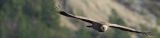 getwebimage.php?pid=113318&url=https%3A%2F%2Fi.postimg.cc%2F2S4jmT2d%2F20240321-222258.jpg