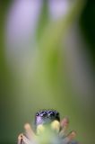 getwebimage.php?pid=113519&url=https%3A%2F%2Flive.staticflickr.com%2F65535%2F53628302942_75c7acfc7d_b.jpg