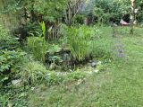 getwebimage.php?pid=113670&url=https%3A%2F%2Fi.postimg.cc%2FL5mycGsB%2F20240827-183108.jpg