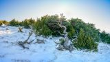 getwebimage.php?pid=113749&url=https%3A%2F%2Flive.staticflickr.com%2F65535%2F54244530119_81d1cf2fb6_b.jpg