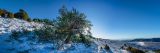 getwebimage.php?pid=113753&url=https%3A%2F%2Flive.staticflickr.com%2F65535%2F54245774691_a73f36e44f_b.jpg