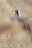 getwebimage.php?pid=113772&url=https%3A%2F%2Flive.staticflickr.com%2F65535%2F54380780688_549a1467b6_b.jpg