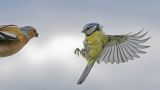 getwebimage.php?pid=113791&url=https%3A%2F%2Flive.staticflickr.com%2F65535%2F54459610869_ab0c1668da_b.jpg