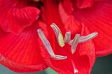 getwebimage.php?pid=113792&url=https%3A%2F%2Flive.staticflickr.com%2F65535%2F54467546566_b2edb2698e_b.jpg
