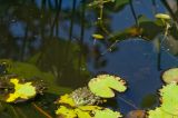 getwebimage.php?pid=114173&url=https%3A%2F%2Flive.staticflickr.com%2F65535%2F55438174230_1a250bf93e_b.jpg