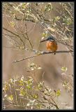 getwebimage.php?pid=18108&url=http%3A%2F%2Fdesthi2k7.free.fr%2Fphotodxd%2Fteich%2F21-12%2F_DSC0655.jpg