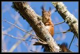 getwebimage.php?pid=18110&url=http%3A%2F%2Fdesthi2k7.free.fr%2Fphotodxd%2Fteich%2F21-12%2F_DSC0738-2.jpg