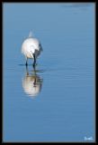 getwebimage.php?pid=18112&url=http%3A%2F%2Fdesthi2k7.free.fr%2Fphotodxd%2Fteich%2F21-12%2F_DSC0576.jpg