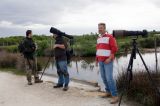 getwebimage.php?pid=23772&url=http%3A%2F%2Fdesthi2k7.free.fr%2Fphotodxd%2Fteich%2F08-05-09%2FDSC02079.jpg