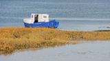 getwebimage.php?pid=23845&url=http%3A%2F%2Fjmdubois.free.fr%2Fgallery%2Fgalleries%2F_Public%2F40D_6879.jpg