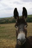 getwebimage.php?pid=28606&url=http%3A%2F%2Ffusis.alain.free.fr%2FALPHA100%2F2009%2FForum-F-C%2F04.JPG