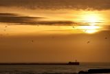 getwebimage.php?pid=32489&url=http%3A%2F%2Fanthop.free.fr%2Fhfr%2Fsoleil2.jpg