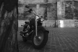 getwebimage.php?pid=35858&url=http%3A%2F%2Fpredatorhumansone.free.fr%2FLooKthat%2Fimages%2Fphoto%2FDSC00753%2520copie.jpg