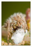 getwebimage.php?pid=40003&url=http%3A%2F%2Fdaniel.d.photo.free.fr%2Fphpwebgallery%2Fgalleries%2Fprive%2FDSC08290.jpg