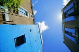getwebimage.php?pid=42812&url=http%3A%2F%2Fegr.photo.free.fr%2Ftemp%2FTrentemoult%2FDSC05328.JPG