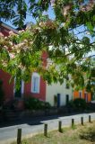 getwebimage.php?pid=42815&url=http%3A%2F%2Fegr.photo.free.fr%2Ftemp%2FTrentemoult%2FDSC05344.JPG