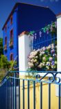 getwebimage.php?pid=42817&url=http%3A%2F%2Fegr.photo.free.fr%2Ftemp%2FTrentemoult%2FDSC05348.JPG