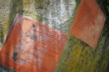 getwebimage.php?pid=42819&url=http%3A%2F%2Fegr.photo.free.fr%2Ftemp%2FTrentemoult%2FDSC05350.JPG