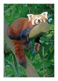 getwebimage.php?pid=44625&url=http%3A%2F%2Fghostrider1c.free.fr%2Fa%2Fa07l.jpg