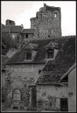 getwebimage.php?pid=45462&url=http%3A%2F%2Flyrks.free.fr%2FA33%2FHerisson%2F15.jpg