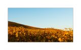 getwebimage.php?pid=45806&url=http%3A%2F%2Fwww.instants-choisis.ch%2Fpubliweb%2FDSC6888_w_fb